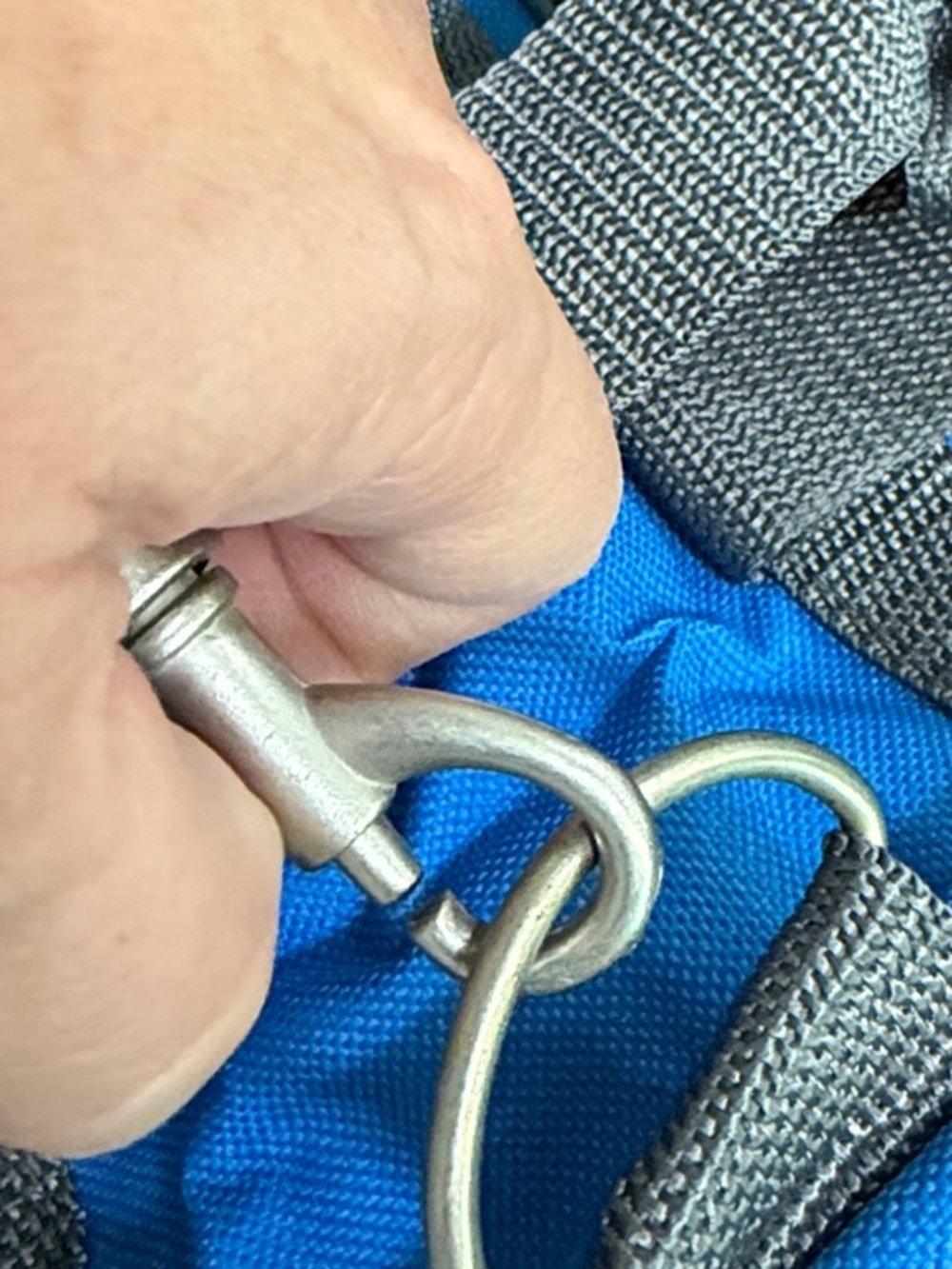 Blue Small Pet Carrier with Gray Straps - Picture 9 of 13